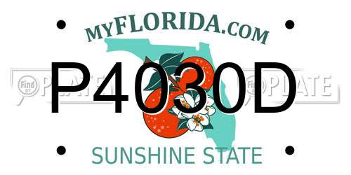 P4030D Florida License Plate