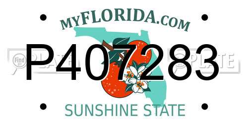 P407283 Florida License Plate