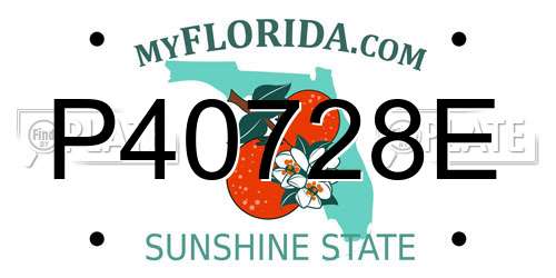 P40728E Florida License Plate