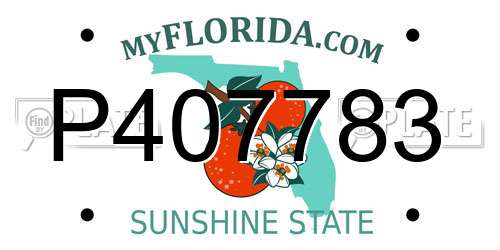 P407783 Florida License Plate