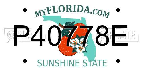 P40778E Florida License Plate
