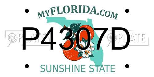 P4307D Florida License Plate