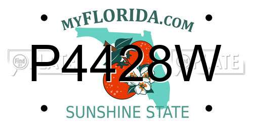 P4428W Florida License Plate