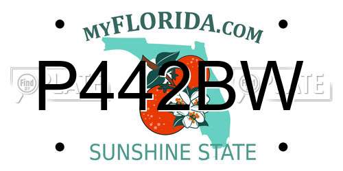 P442BW Florida License Plate