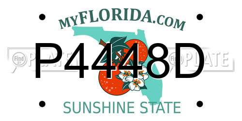 P4448D Florida License Plate