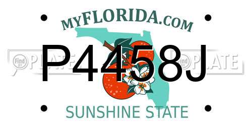 P4458J Florida License Plate
