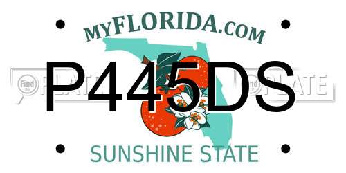 P445DS Florida License Plate