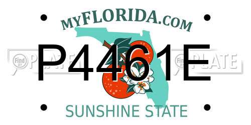 P4461E Florida License Plate