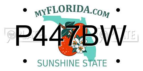 P447BW Florida License Plate