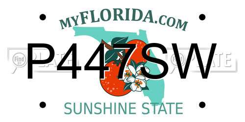 P447SW Florida License Plate