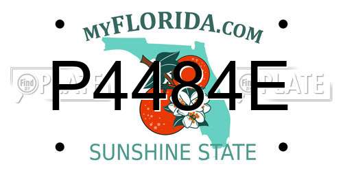 P4484E Florida License Plate
