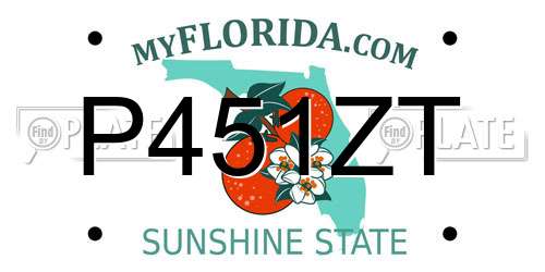 P451ZT Florida License Plate