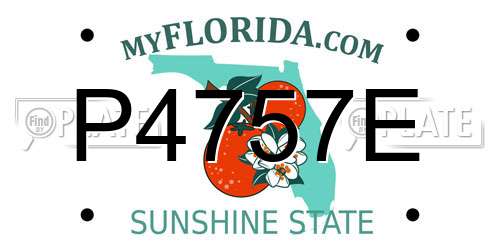 P4757E Florida License Plate