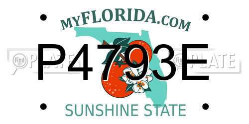 P4793E Florida License Plate