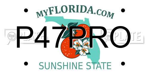 P47PRO Florida License Plate