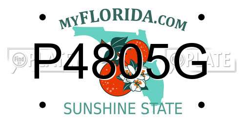 P4805G Florida License Plate