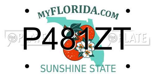 P481ZT Florida License Plate