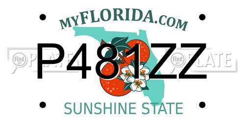 P481ZZ Florida License Plate
