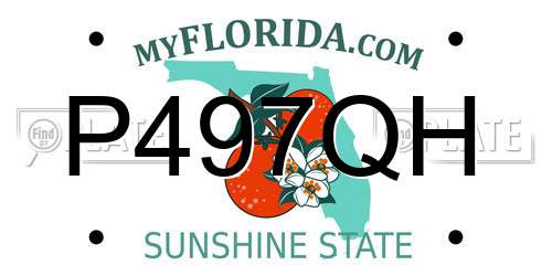 P497QH Florida License Plate