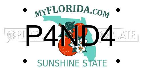 P4ND4 Florida License Plate