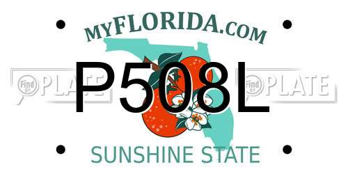 P508L Florida License Plate