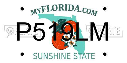 P519LM Florida License Plate