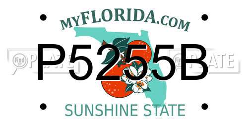 P5255B Florida License Plate
