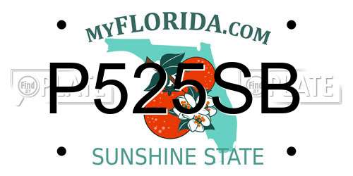 P525SB Florida License Plate