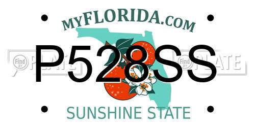 P528SS Florida License Plate