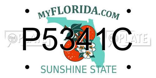 P5341C Florida License Plate
