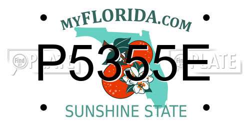 P5355E Florida License Plate