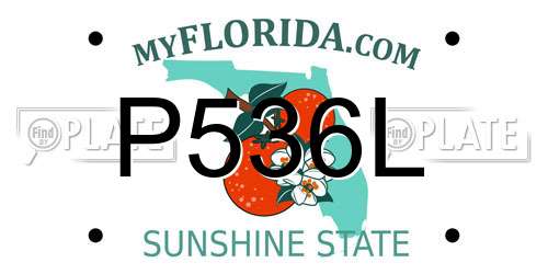 P536L Florida License Plate