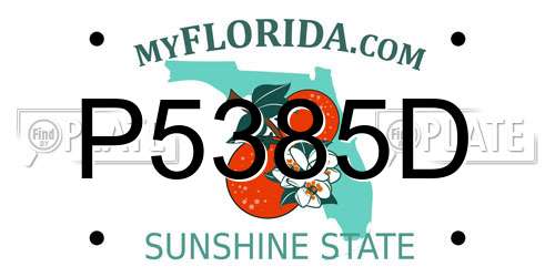 P5385D Florida License Plate