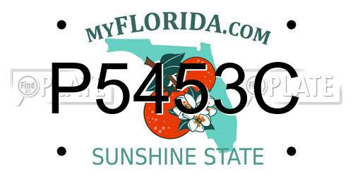 P5453C Florida License Plate