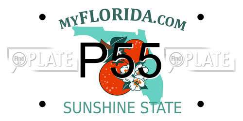P55 Florida License Plate