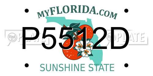 P5512D Florida License Plate