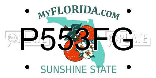 P553FG Florida License Plate