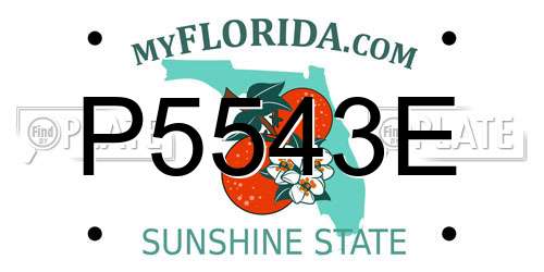 P5543E Florida License Plate