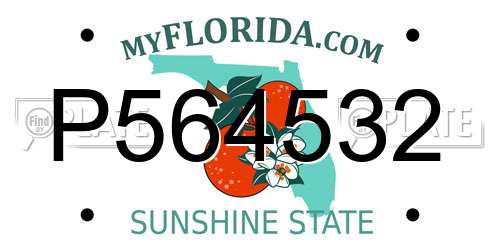 P564532 Florida License Plate