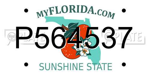 P564537 Florida License Plate
