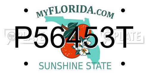 P56453T Florida License Plate