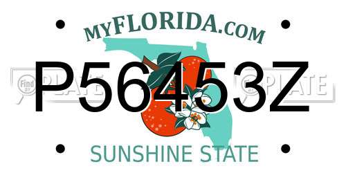 P56453Z Florida License Plate