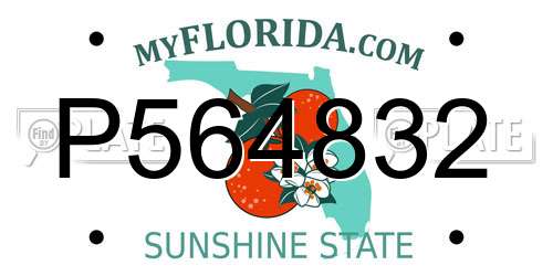 P564832 Florida License Plate