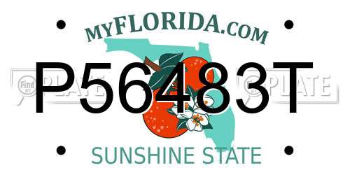 P56483T Florida License Plate