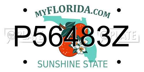 P56483Z Florida License Plate