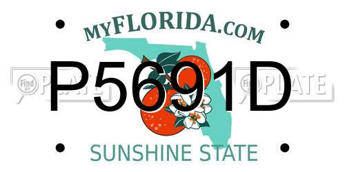 P5691D Florida License Plate