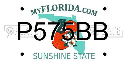 P575BB Florida License Plate