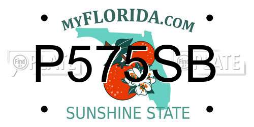 P575SB Florida License Plate