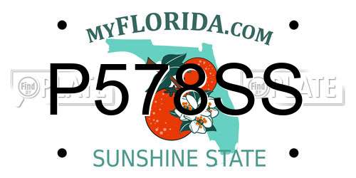 P578SS Florida License Plate