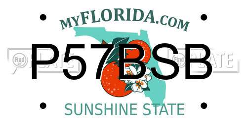 P57BSB Florida License Plate